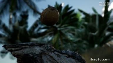 在丛林中极速落下椰子